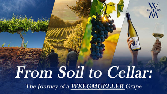 From Soil to Cellar: The Journey of a Weegmueller Grape