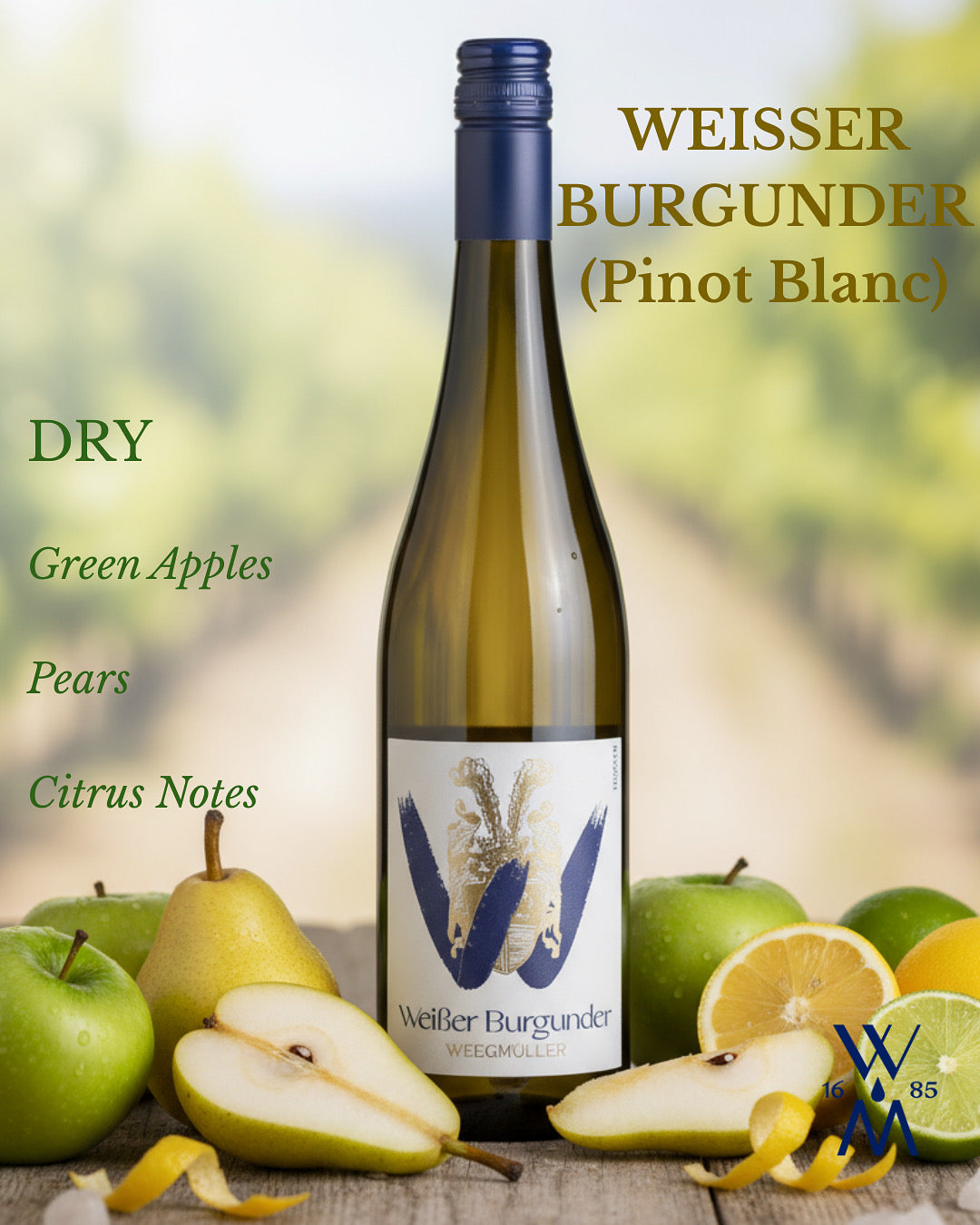 White Burgundy 2023 - 750 ML